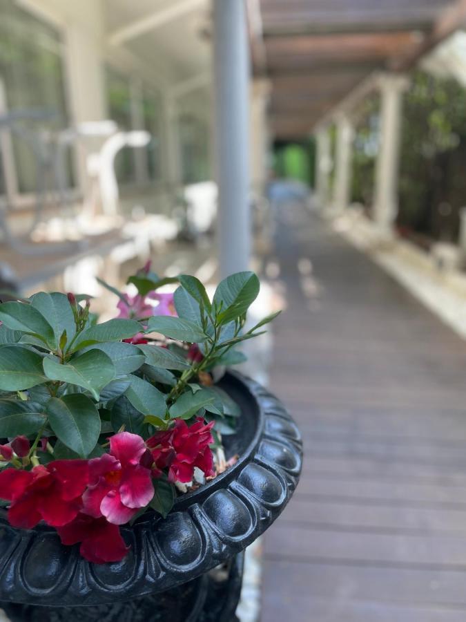 Park Cellini 4* Lido di Jesolo